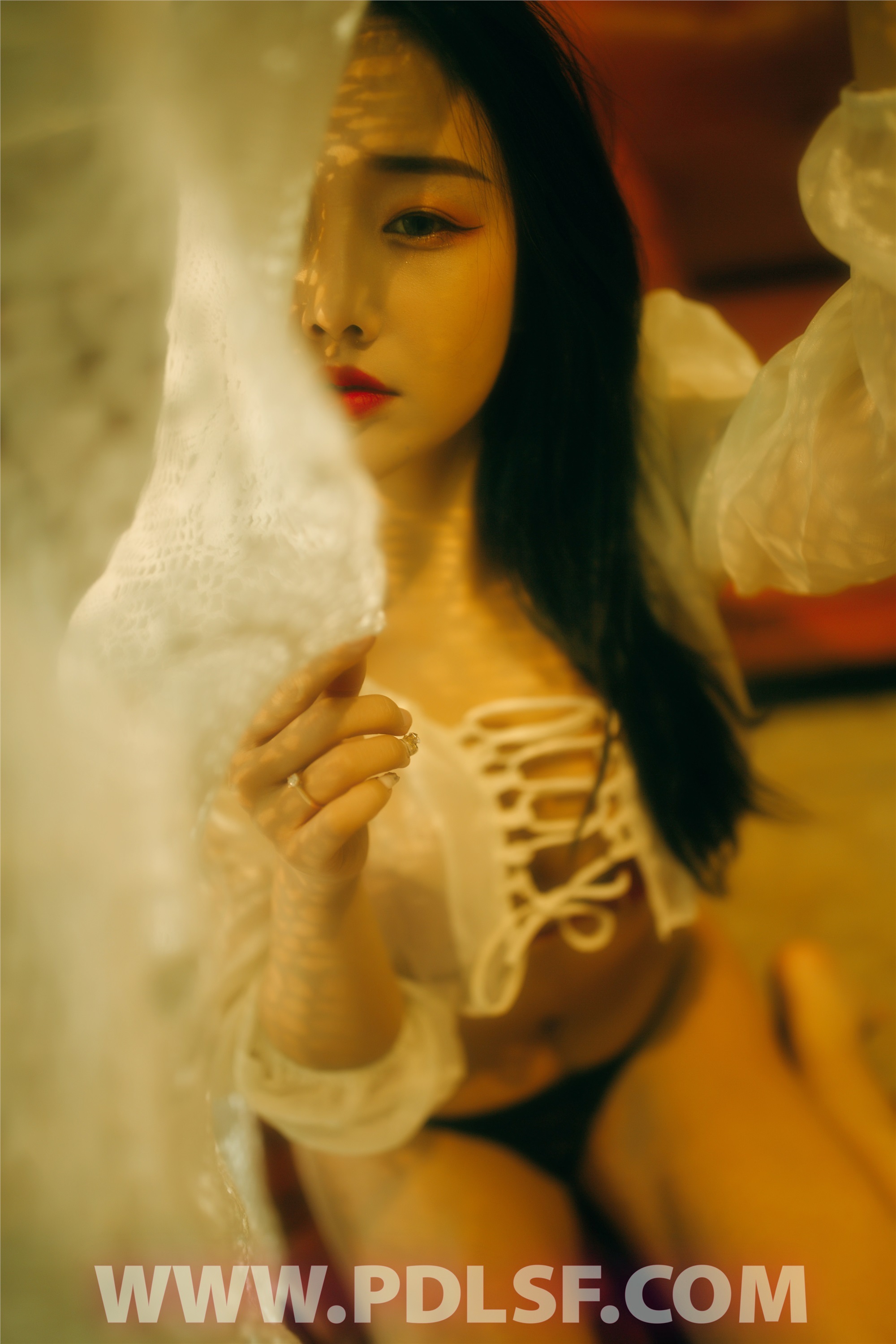 PDL潘多拉 2020.05.02 专辑No.289